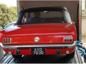 Mustang